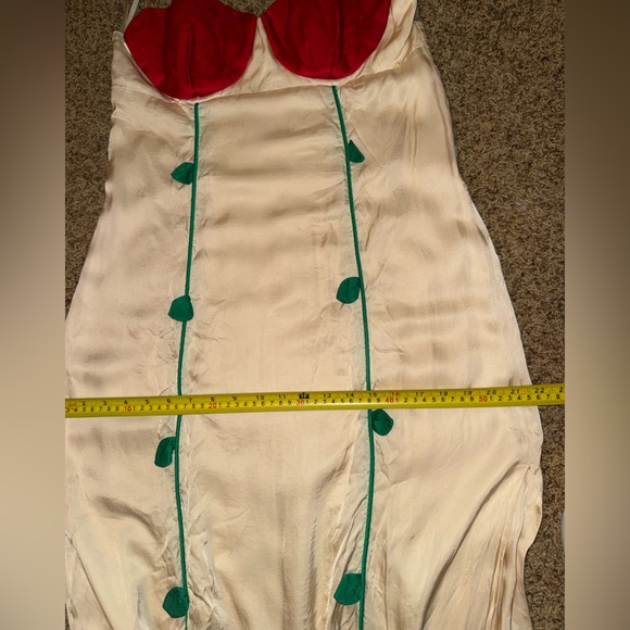 Farm Rio Rose Detailed Midi Satin
Dress size large - Picture 11 of 11